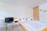 Wohnzimmer - Ein-Zimmer-Apartment 55/18 - Top-Hundeurlaub