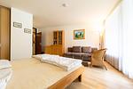 Wohnzimmer - Ein-Zimmer-Apartment 55/18 - Top-Hundeurlaub