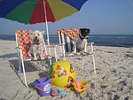 Ferienwohnungen OSTSEEOASE in Prerow - Top-Hundeurlaub