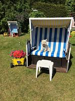 Ferienwohnungen OSTSEEOASE in Zingst - Top-Hundeurlaub