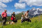 Almdorf Flachau & Promi Alm  - Top-Hundeurlaub