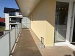 Balkon - Seemuschel (links) - Top-Hundeurlaub
