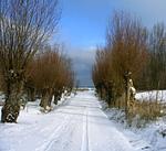 Feriendomizil Habetha  "Suite" - Top-Hundeurlaub