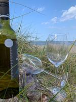 Dekoratives Detail - 47.1.S Waterkant - Top-Hundeurlaub