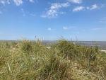 Meerblick - 48.5.S Waterkant - Top-Hundeurlaub