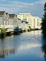 Vogelperspektive - Haus Nr. 33,  Ferienhaus Deichgraf - Top-Hundeurlaub