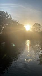 Landschaft - Haus Nr. 33,  Ferienhaus Deichgraf - Top-Hundeurlaub