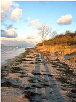 Feriendomizil Habetha Fewo "Ost" - Top-Hundeurlaub