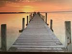 Dekoratives Detail - Domicil - Abendsonne - Top-Hundeurlaub