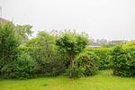 Landschaft - Lindenhof - Sanfte Welle - Top-Hundeurlaub