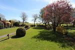 Garten - DHH Meisenweg 34 - Top-Hundeurlaub