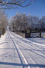 Ferienwohnung DE OLE KOHSTALL - Top-Hundeurlaub