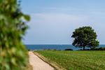 Meerblick - Haus Schaper Whg. 4 OG - Top-Hundeurlaub
