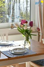 Dekoratives Detail - Ferienwohnung 9 - Top-Hundeurlaub