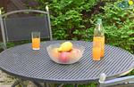 Terrasse - Ferienwohnung 12 - Top-Hundeurlaub