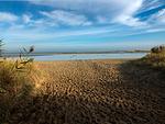 Strand - Meeresglück - Top-Hundeurlaub