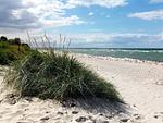 Strand - Ostseetraum - Top-Hundeurlaub