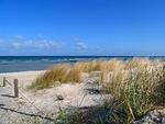 Strand - Leuchtfeuer - Top-Hundeurlaub