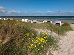 Strand - Leuchtfeuer - Top-Hundeurlaub