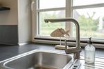 Reetdachhaus Beach House 2 - Top-Hundeurlaub