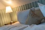Ferienhaus Kapitän's Kajüte - Top-Hundeurlaub