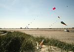 Appartement SPO Beach House No 2 - Top-Hundeurlaub
