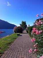 Hundeferien DIREKT am Wasser des Lago Maggiore in toller Loft
 - Top-Hundeurlaub