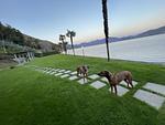 Hundeferien DIREKT am Wasser des Lago Maggiore in toller Loft
 - Top-Hundeurlaub