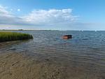 Strand - Strandburg - Top-Hundeurlaub