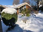 Gartenblick - Küstenhütte - Top-Hundeurlaub