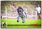 Erlebnis-Hotel in Kärnten - Top-Hundeurlaub