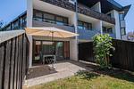 Terrasse - Zwei-Zimmer-Apartment 49/04 - Top-Hundeurlaub