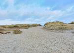 Strand - Haus Nr. 22, Ferienhaus Deichgraf - Top-Hundeurlaub