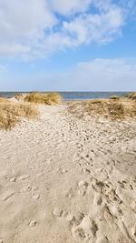 Strand - Haus Nr. 19, Ferienhaus Fischerhus - Top-Hundeurlaub