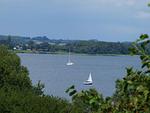 Hafenblick - Top-Hundeurlaub