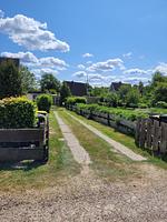 Kleine Brise - Top-Hundeurlaub