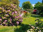Strand-Haus - Top-Hundeurlaub