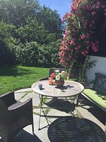Schöne Aussicht - Top-Hundeurlaub