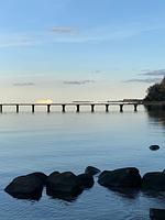 Ostseeblick - Top-Hundeurlaub
