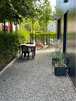 Garten - Kleine Koje - Top-Hundeurlaub