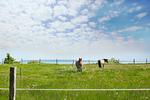 Landschaft - FeWo 12: Terrasse - Top-Hundeurlaub