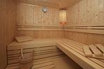 Sauna - Haus:Terrasse,Garten,Sauna - Top-Hundeurlaub