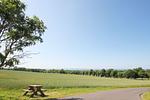 Landschaft - FeWo 15: Balkon, Meerblick - Top-Hundeurlaub