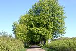 Landschaft - FeWo 01: Balkon, Meerblick - Top-Hundeurlaub