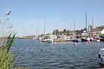 Landschaft - Haus: Meerblick,Sauna,Terrasse - Top-Hundeurlaub