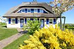Fassade / Eingang - Morgenrot: Terr.,Garten,Meerblick - Top-Hundeurlaub