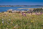 Landschaft - Morgenrot: Terr.,Garten,Meerblick - Top-Hundeurlaub