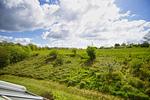 Gartenblick - FeWo11: Strand,Balk,Pool,Sauna - Top-Hundeurlaub