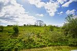 Gartenblick - FeWo11: Strand,Balk,Pool,Sauna - Top-Hundeurlaub