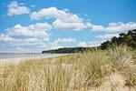 Strand - FeWo04: Balkon, Sauna, Schwimmbad - Top-Hundeurlaub
